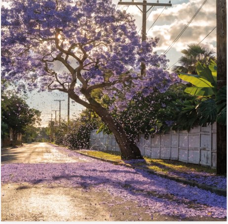 New South Wales