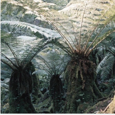 Manawatū-Whanganui & Taranaki