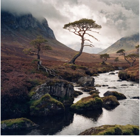 Yorkshire and the North East