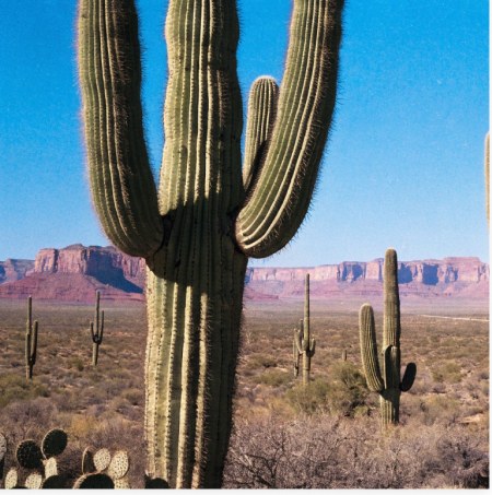 Texas
