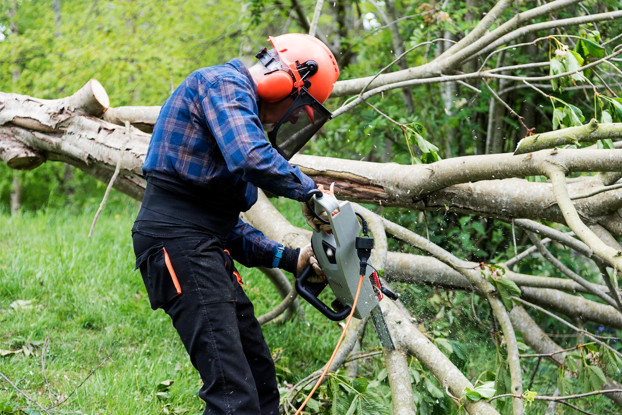 Arborists