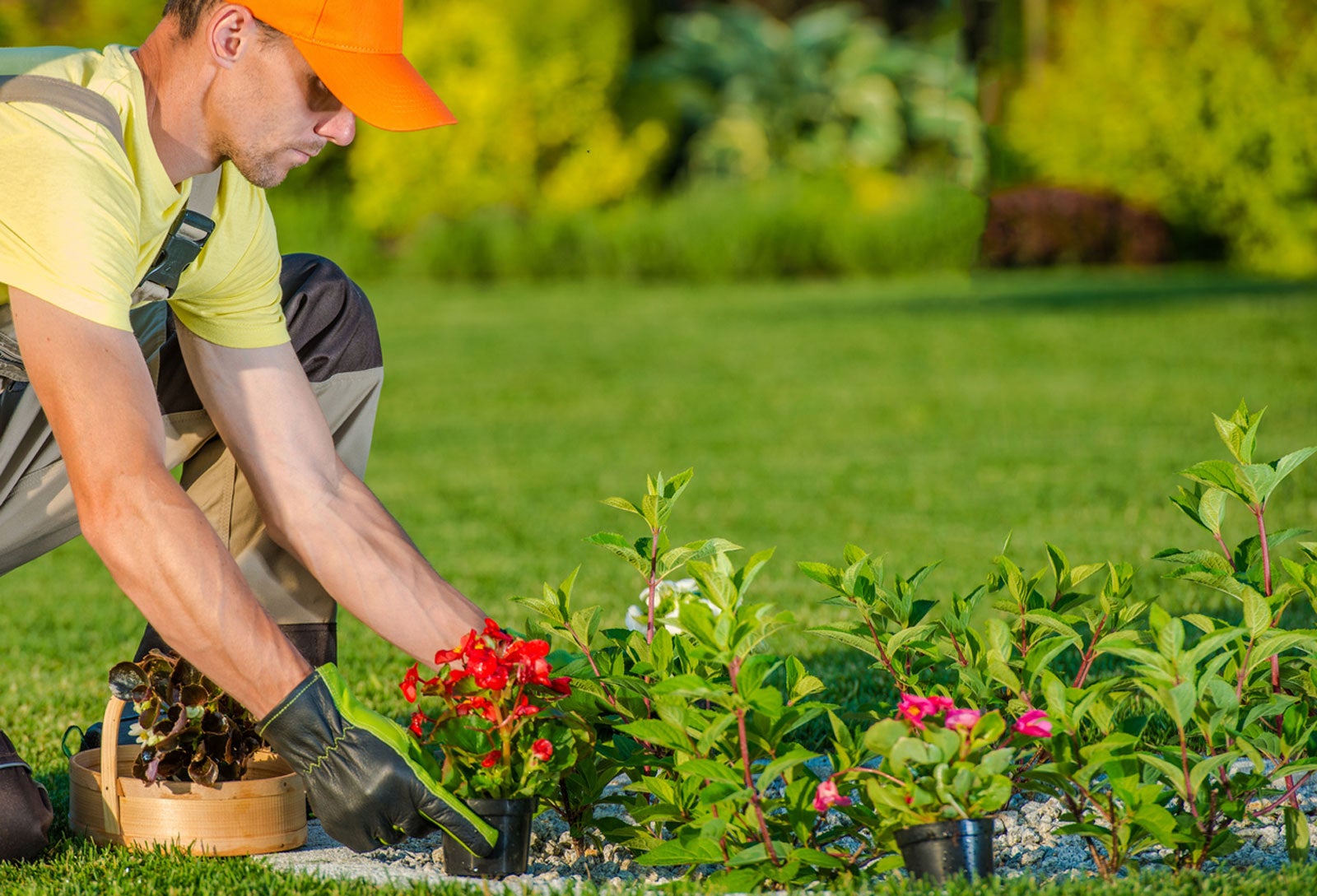 Landscaper